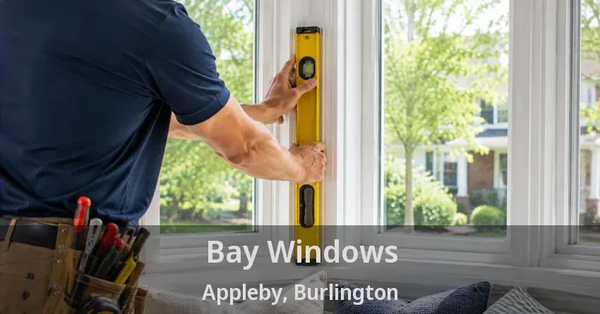 Bay Windows Appleby, Burlington - ON