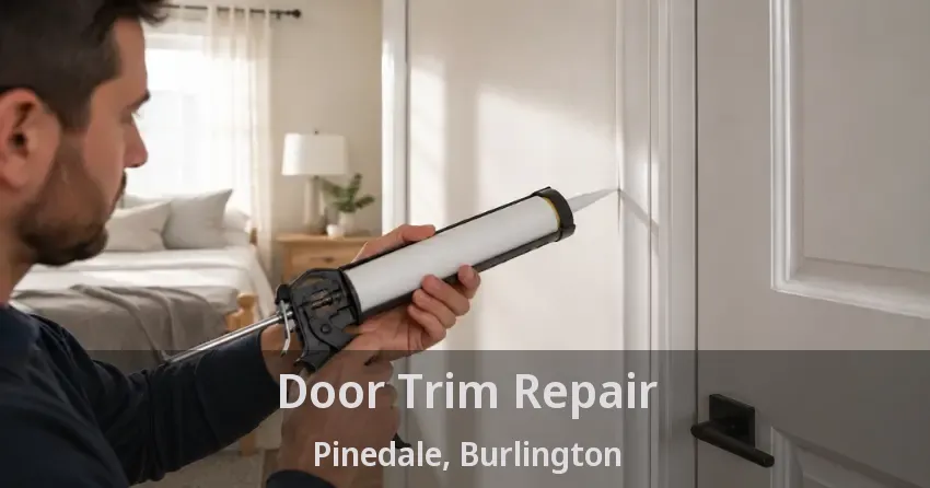 Door Trim Repair Pinedale, Burlington - ON