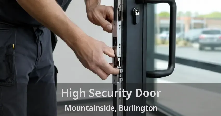 High Security Door Mountainside, Burlington - ON