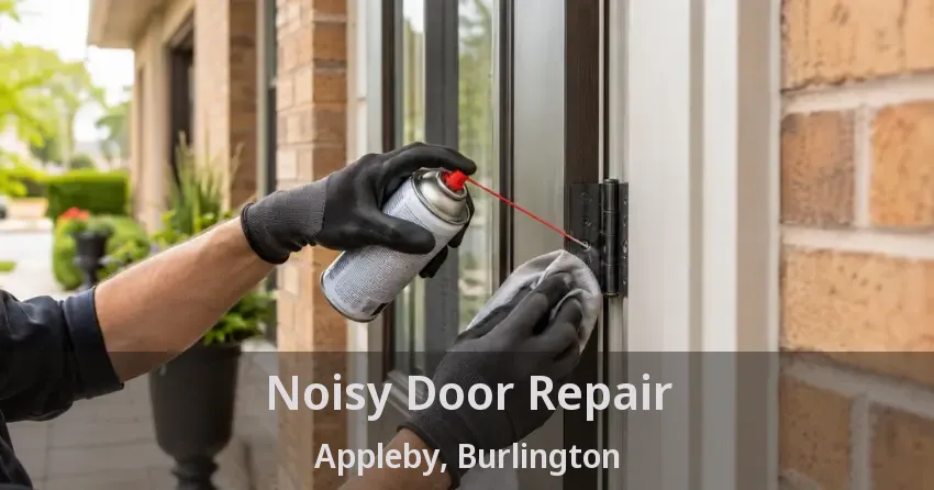 Noisy Door Repair Appleby, Burlington - ON