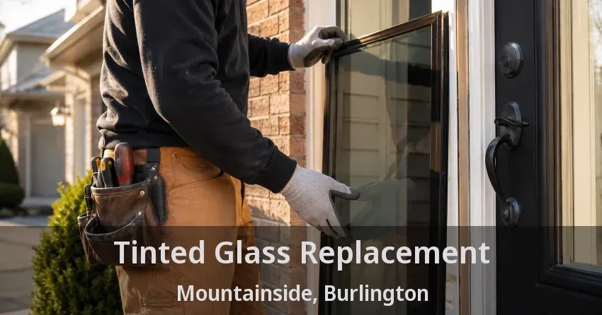 Tinted Glass Replacement Mountainside, Burlington - ON