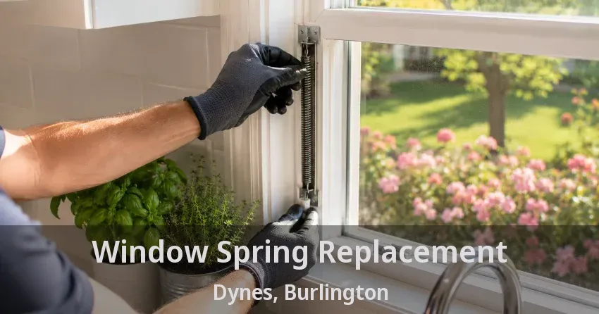 Window Spring Replacement Dynes, Burlington - ON